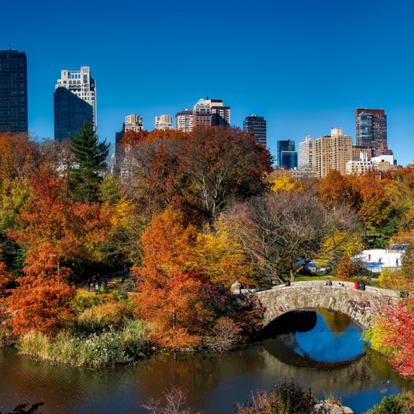 New York City’s Spectrum of Seasons